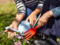 Ręce starszej osoby i młodszej osoby pielęgnują kwiaty. Terapia ogrodem przynosi spokój i radość.