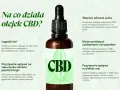 Olej CBD łagodzi ból, wspiera serce, poprawia sen i może zmniejszać uzależnienia. Dowiedz się, na co działa olejek CBD.