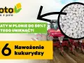 Najlepszy nawóz pod kukurydzę na kiszonkę - uniknij błędów w nawożeniu