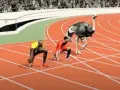 Usain Bolt y una avestruz listos para competir, ¿quién alcanzará la velocidad punta?