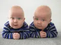 Dwa urocze bliźniaki jednojajowe leżą na brzuchu, patrząc w obiektyw z niebieskimi oczami.