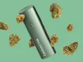 Vaper verde con el logo "CANNACTIVA" rodeado de cogollos de cannabis.
