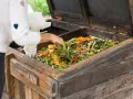 Otwarta drewniana skrzynia kompostownika wypełniona resztkami warzyw i owoców. Ktoś dodaje kolejne odpady, pokazując, jak zrobic kompostownik.