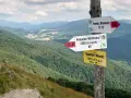Wskazówki szlaku na Przełęcz Orłowicza i Połoninę Wetlińską. Kierunek na Osadzki Wierch.
