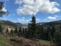 Paysage de Robert Landsburg : sapins imposants, ciel bleu et nuages blancs, avec un village niché dans la vallée.