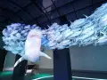 Rekin wśród ławicy ryb, instalacja w Muzeum Wody Wrocław.