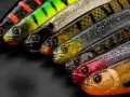 Eine Reihe bunter Gummifische, die zeigen, welche Gummifisch Farbe bei welchem Wetter am besten fängt.