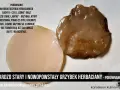 Porównanie młodego, jasnego grzybka herbacianego i starego, ciemnego, który jest już zepsuty i nie fermentuje.