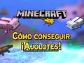Ajolotes de Minecraft nadando. El texto dice "Cómo conseguir ¡Ajolotes!".