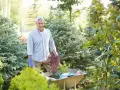 Starszy pan z taczką pełną roślin, gotowy do pracy w ogrodzie. Dobre gardening tips to podstawa pięknego ogrodu.