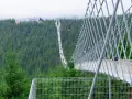 Spacerem po najdłuższym wiszącym moście, otoczonym gęstym lasem. Widok zapiera dech w piersiach.