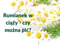 Rumianek w ciąży - czy można pić? Białe kwiaty rumianku w miseczce, symbol spokoju i natury.