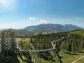 Spacer w koronach drzew Zakopane cennik: drewniana wieża widokowa i ścieżka wśród drzew z panoramą Tatr.