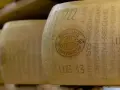 Czy parmezan ma laktozę? Odkryj, dlaczego możesz go jeść bez obaw