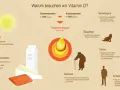 Wofür ist Vitamin D3 gut? Die überraschenden Vorteile für Ihre Gesundheit
