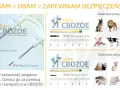 Ile kosztuje chip dla psa? Sprawdź ceny i ukryte koszty czipowania