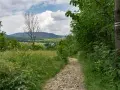 Kamienista ścieżka prowadzi przez zielone wzgórza. To malownicza mogielica trasa, idealna na spacer.