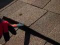 A gloved hand uses a tool to lift an asphalt shingle, indicating asphalt shingle roof repair is underway.