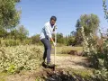 Uomo con pala in un giardino, forse per preparare il terreno con greenex nf dosaggio.