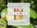 Oprysk Limocide na choroby i szkodniki roślin ozdobnych, owoców i warzyw. Skuteczny preparat w walce z plamami na liściach.