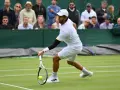 Fernando Verdasco Carmona, tenista español, golpea la pelota en una cancha de césped.