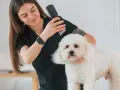Groomerka strzyże białego psa. Zastanawiasz się, ile zarabia groomer? To zawód z pasją i potencjałem.