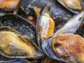 Primer plano de mejillones congelados cubiertos de escarcha. Se pueden congelar los mejillones para conservarlos frescos.