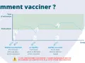 Graphique illustrant le protocole vaccination cheval FFE : taux d'anticorps et protection après primo-vaccination et rappels.