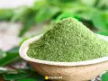 Zielony proszek z liści moringa w miseczce, otoczony świeżymi liśćmi. Odkryj niezwykłe liście moringa właściwości.