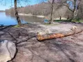 Spacer po brzegu jeziora Warzenko. Biały piesek bawi się przy wodzie, a w oddali widać dwie osoby i deski SUP.