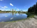 Piękny, świeżo wykopany staw. Zastanawiasz się, ile kosztuje wykopanie stawu? Warto zainwestować w taki krajobraz.
