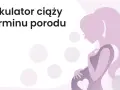 Kalkulator ciąży i terminu porodu. Dowiedz się, ile tygodni trwa ciąża i kiedy spodziewać się dziecka.