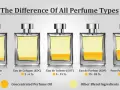 EdT vs. EdP: Der entscheidende Unterschied für Ihren Duftstil