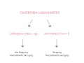 Choroba Hashimoto: uśpiona (TSH=N) nie leczymy, aktywna (TSH=↑) leczymy hormonami tarczycy.