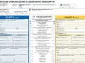 Oświadczenie sprawcy kolizji: Jak uniknąć błędów i dostać odszkodowanie?
