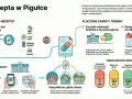 Czy położna może wypisać receptę? E-recepta to elektroniczna forma recepty, którą otrzymasz SMS-em, e-mailem lub w aplikacji.