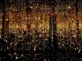 Salle miroir à l'infini, des lucioles scintillent sur l'eau, créant un spectacle lumineux enchanteur.