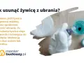 Jak usunąć żywicę z ubrania? Zamrożenie sprawi, że stwardnieje i łatwiej ją zeskrobiesz.