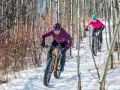 Two people enjoy a winter mtb ride on a snowy trail through a birch forest.