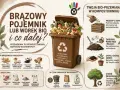 Przewodnik po kompostowaniu odpadów kuchennych. Czego nie wrzucamy do bio? Mięsa, kości, ryb, nabiału, jajek, popiołu, piasku, odchodów zwierzęcych, reklamówek i plastiku PLA.
