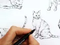 Main d'artiste en train de dessiner un chat réaliste au feutre noir. Plusieurs croquis de chats sont visibles.