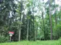 Rezerwat przyrody Krutynia - unikalne atrakcje i dzika przyroda