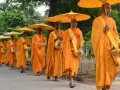 A procession of monks in saffron robes, carrying alms bowls and yellow umbrellas, walk down a road.