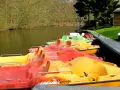 Bunte Tretboote, bereit für eine Fahrt auf dem See in Haltern.