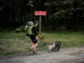 Spacerka po Bory Tucholskie z dwoma psami. W tle znak Parku Narodowego Gór Stołowych.