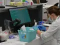 Pracownik laboratorium w maseczce i rękawiczkach przygotowuje próbki. Czy diagnostyka to dobre laboratorium? Tak, to miejsce precyzji.