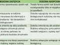 Ile otrzymuje rodzina zastępcza na dziecko? Sprawdź ważne świadczenia
