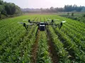 A drone hovers over a lush green field, a silent guardian agriculture, monitoring crops.