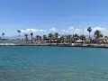Błękitne morze i palmy nad brzegiem w Side, Turcja. W tle zabudowania i góry.