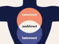 Diagram przedstawia trzy nakładające się koła: "extrovert", "ambivert" i "introvert". Kto to ekstrawertyk? Osoba czerpiąca energię z interakcji.